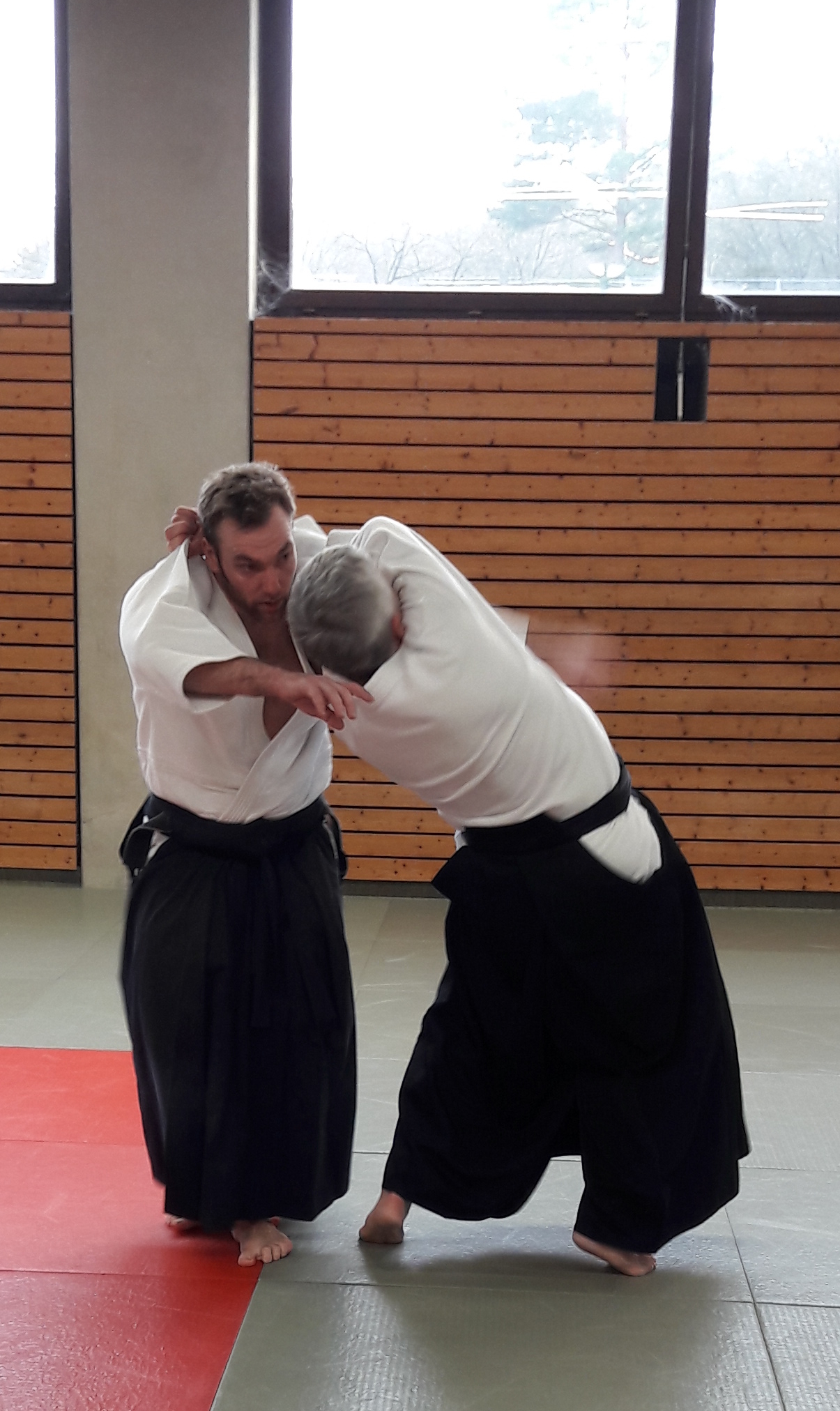 Bilder von unseren Trainings und Seminaren